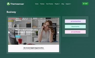 https://themeansar.com/free-themes/busiway/ screenshot