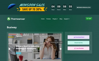 https://themeansar.com/free-themes/busiway/ screenshot