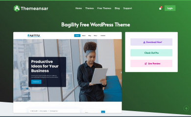 https://themeansar.com/free-themes/bagility screenshot