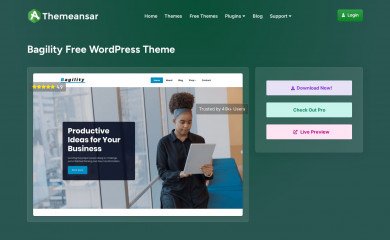 https://themeansar.com/free-themes/bagility screenshot