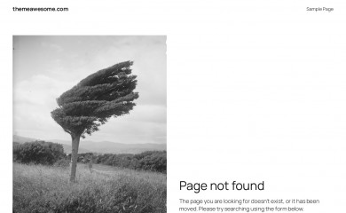 http://themeawesome.com/wordpress-child-theme screenshot