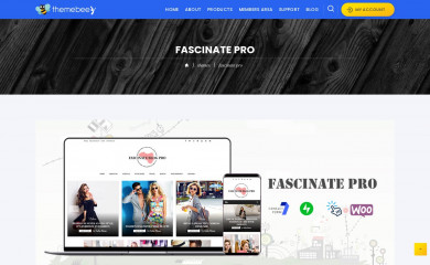 https://themebeez.com/themes/fascinate-pro/ screenshot