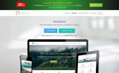 https://www.themehorse.com/themes/ambition/ screenshot