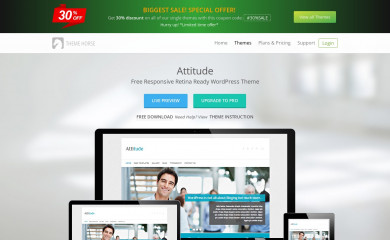 http://themehorse.com/themes/attitude screenshot