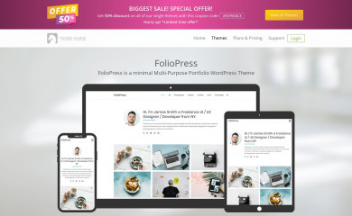 https://www.themehorse.com/themes/foliopress screenshot