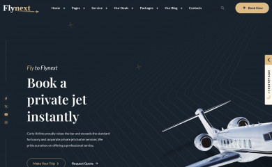 https://themeim.com/wp/flynext/ screenshot