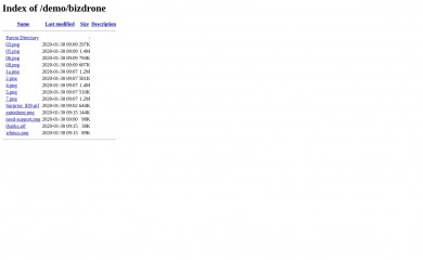 http://themelooks.org/demo/bizdrone screenshot