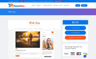 Web Log screenshot