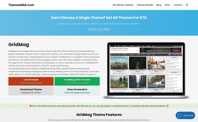https://themesdna.com/gridmag-wordpress-theme/ screenshot