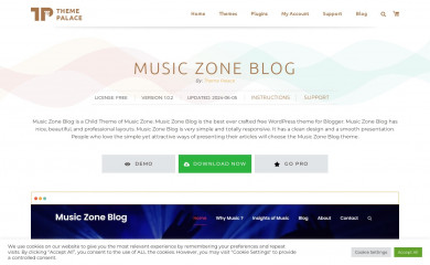 Music Zone Blog screenshot