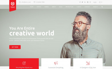 https://themes.themeregion.com/teriz/ screenshot