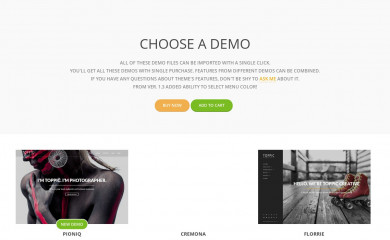 http://themes.easysite.by/toppic-overview/ screenshot
