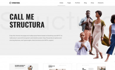 Structura screenshot