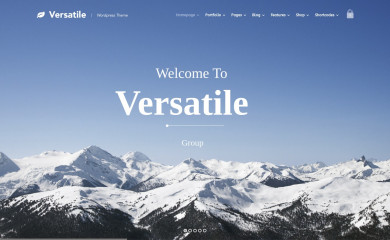 http://themes.goodlayers2.com/versatile screenshot