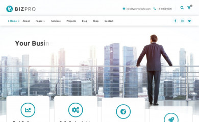 BizPro screenshot