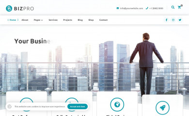 https://themetor.com/bizpro/ screenshot