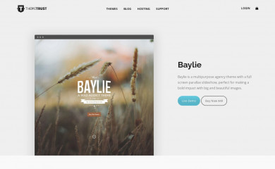 http://themetrust.com/baylie screenshot