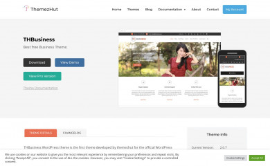 http://www.themezhut.com/themes/thbusiness screenshot