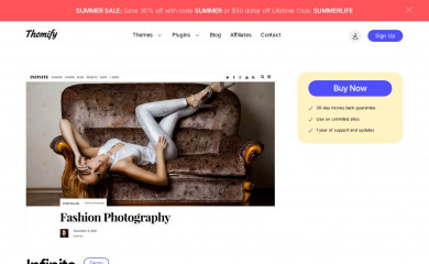 Themify Infinite screenshot