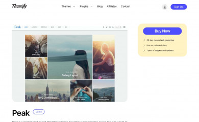 https://themify.me/themes/peak screenshot