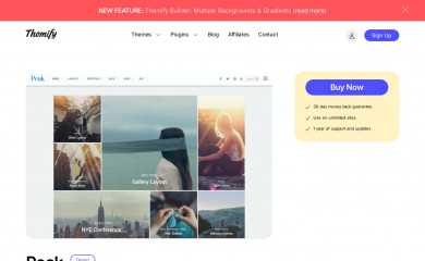 https://themify.me/themes/peak screenshot