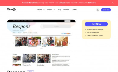 Themify Responz screenshot