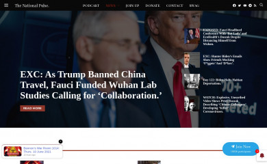 thenationalpulse.com screenshot