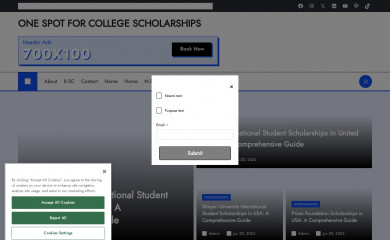 thenewscholarships.com screenshot