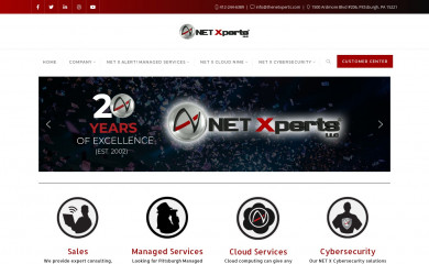 thenetexperts.com screenshot