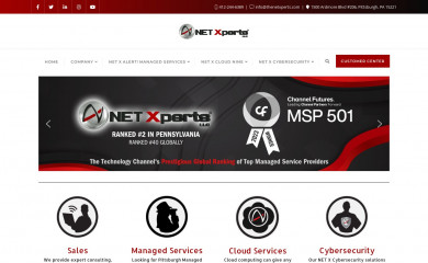 thenetxperts.com screenshot