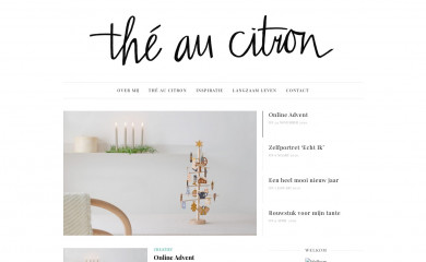 theaucitron.nl screenshot