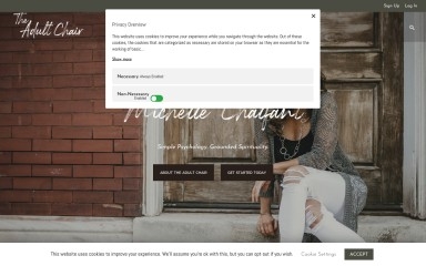 theadultchair.com screenshot