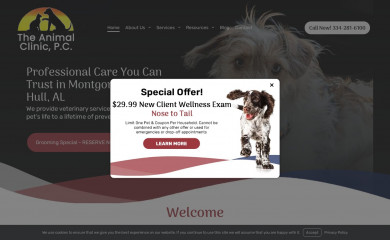 theanimalcliniconline.com screenshot