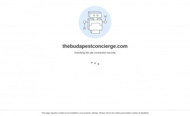 thebudapestconcierge.com screenshot