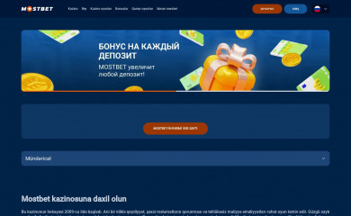 thebudgetelectric.com screenshot