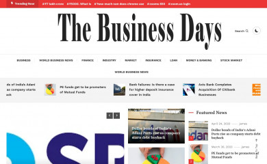 thebusinessdays.com screenshot