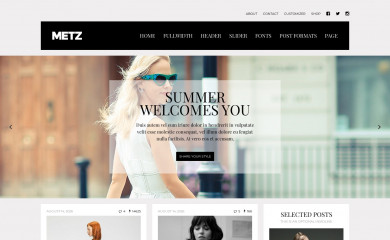 Metz screenshot