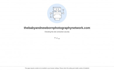 thebabyandnewbornphotographynetwork.com screenshot