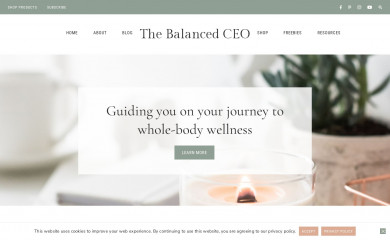 thebalancedceo.com screenshot