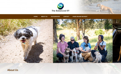 thebalancedk9.com screenshot