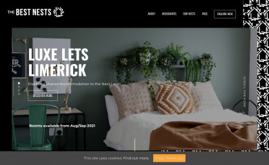 thebestnests.ie screenshot