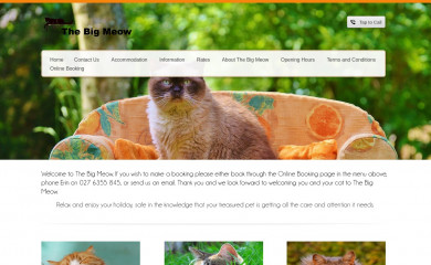 thebigmeow.co.nz screenshot