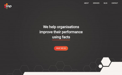 thecapgroup.com.au screenshot