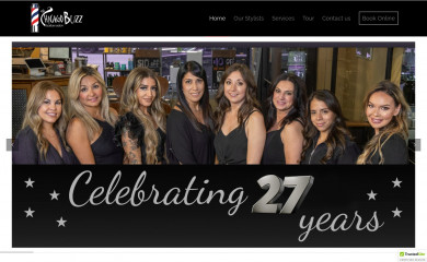 thechicagobuzz.com screenshot