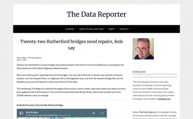 thedatareporter.com screenshot