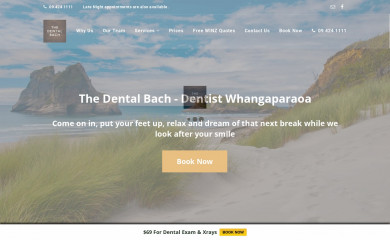 thedentalbach.co.nz screenshot