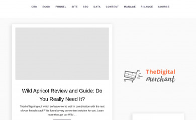 thedigitalmerchant.com screenshot