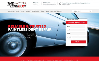 thedingguy.com screenshot
