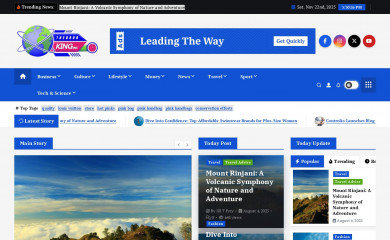 thedoorkinginc.com screenshot