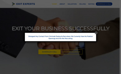 theexitexperts.com screenshot